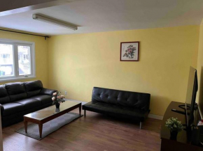 New renovated peaceful apartment with parking